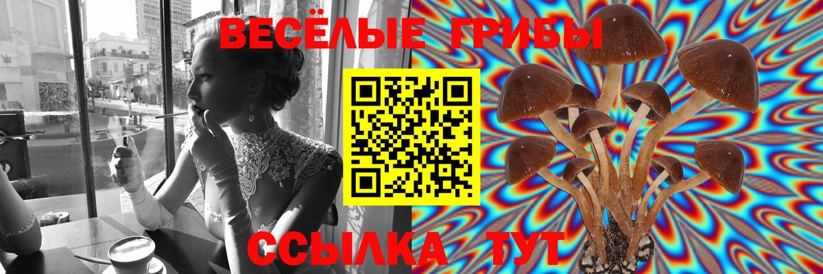 Кировск  Галлюциногенные грибы мицелий  Псилоцибиновые грибы ЛСД  Вход с VPN 